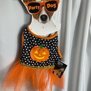 Pumpkin Tutu Halloween Dog Costume Size Small 1 Pcs. NWT Party City